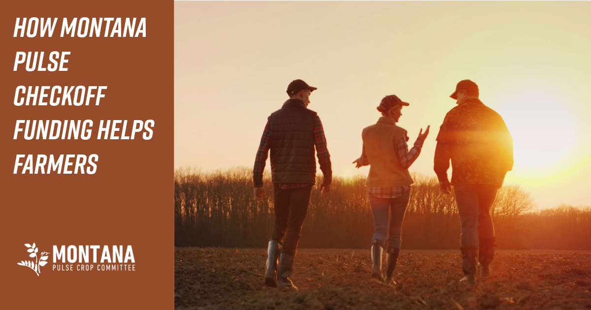 From Research to Results: How Montana Pulse Checkoff Funding Helps Farmers Before Problems Become Crises
